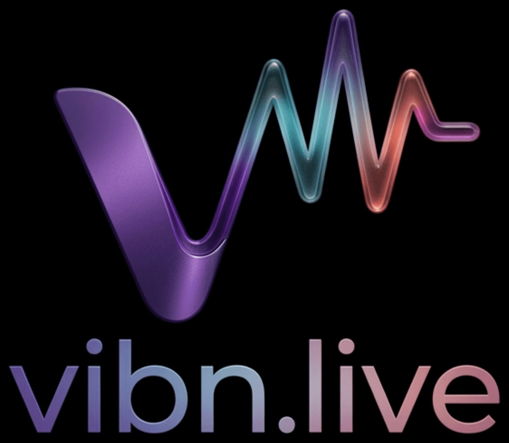 vibn.live logo artwork